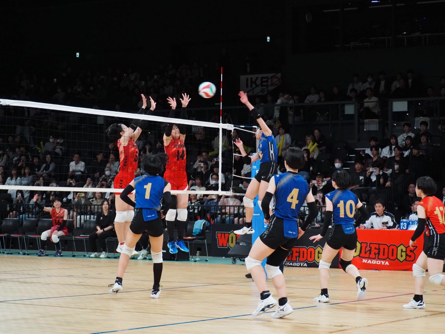 全国大会出場校女子決定！ | 愛知県バレーボール協会